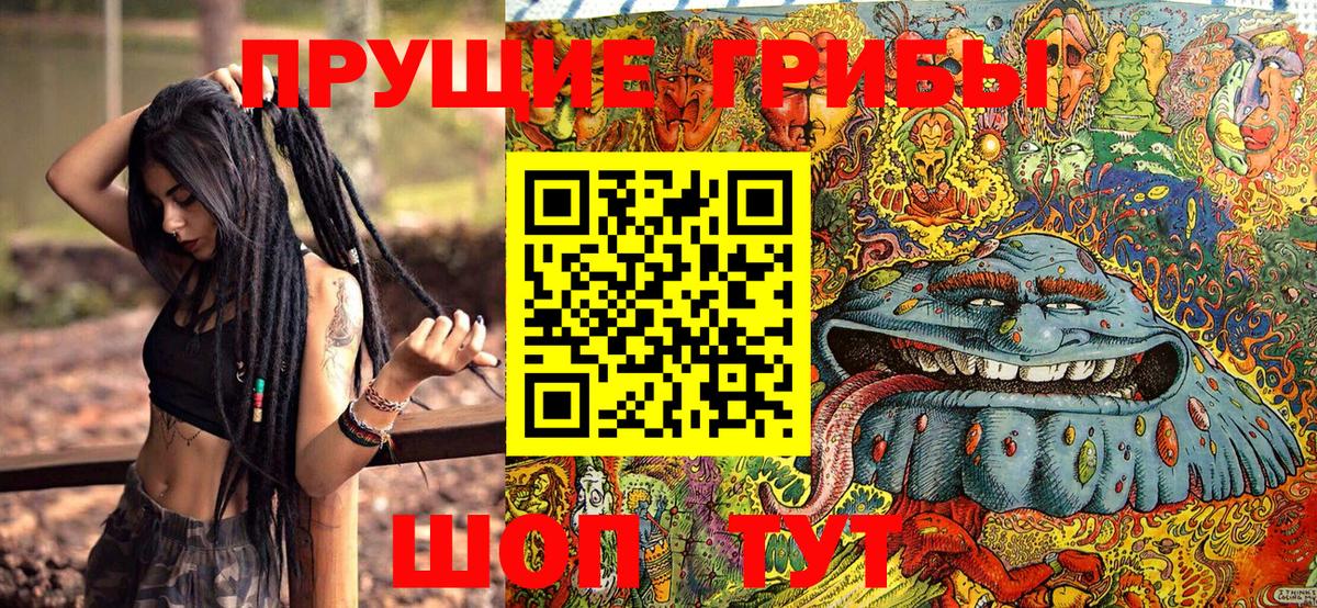 Псилоцибиновые грибы Psilocybe  Вход с VPN  Краснознаменск 