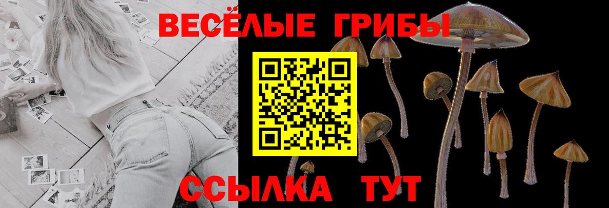 Галлюциногенные грибы GOLDEN TEACHER Краснознаменск