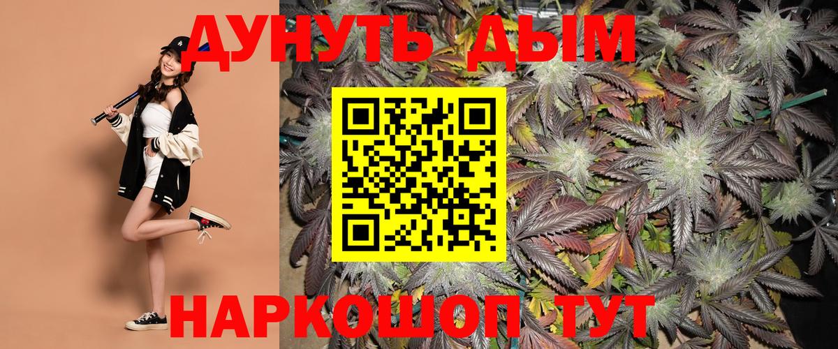 Канабис SATIVA & INDICA Краснознаменск